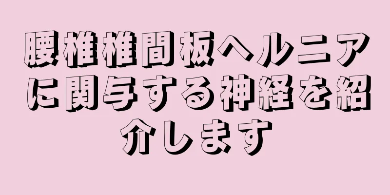 腰椎椎間板ヘルニアに関与する神経を紹介します