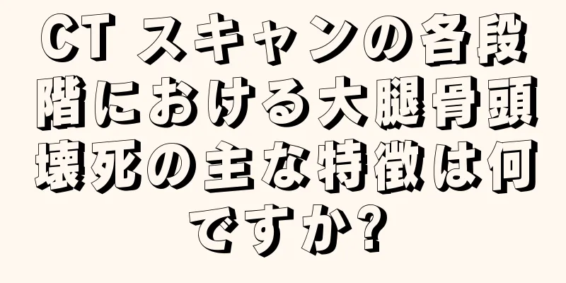 CT スキャンの各段階における大腿骨頭壊死の主な特徴は何ですか?