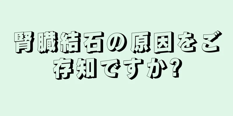 腎臓結石の原因をご存知ですか?