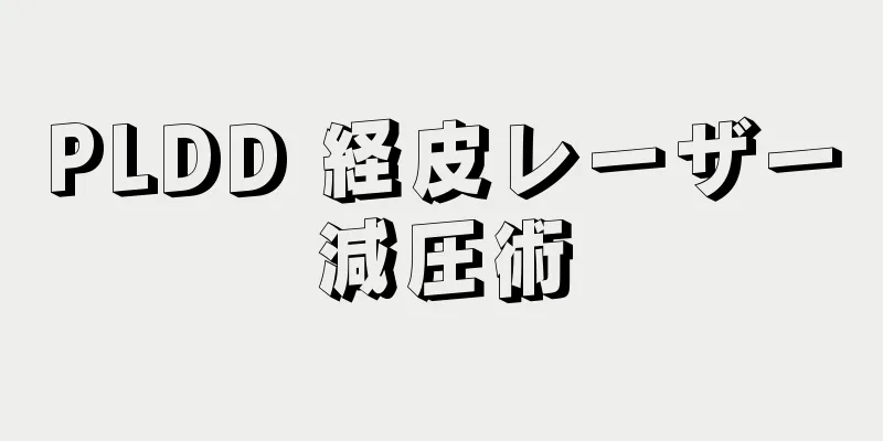 PLDD 経皮レーザー減圧術