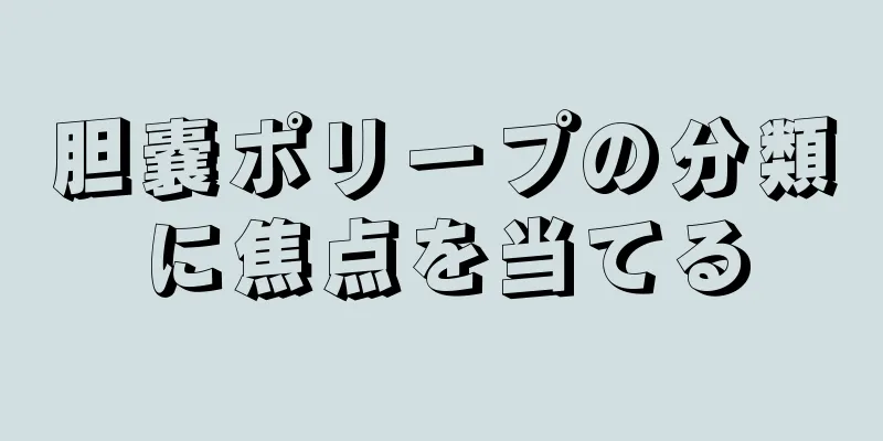胆嚢ポリープの分類に焦点を当てる