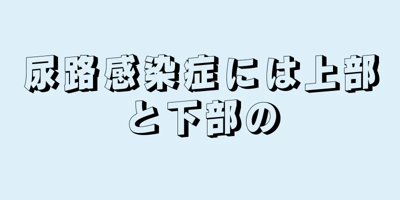 尿路感染症には上部と下部の