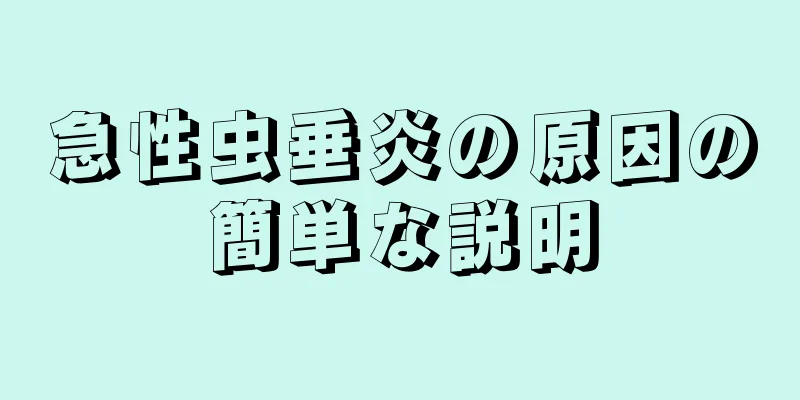 急性虫垂炎の原因の簡単な説明