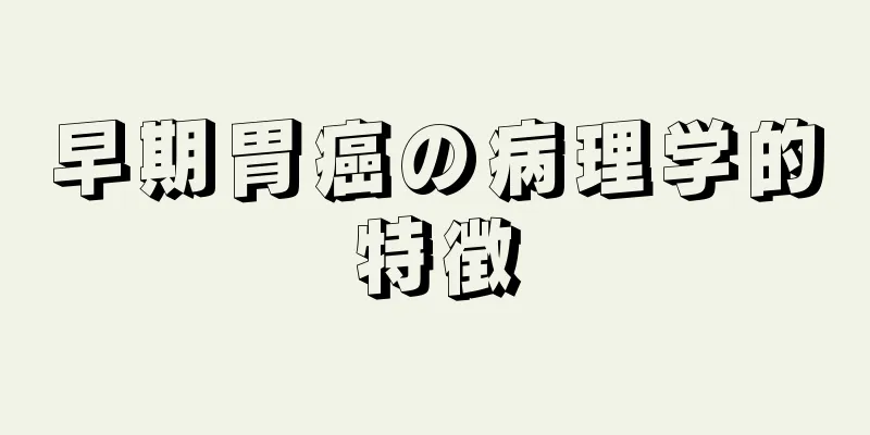 早期胃癌の病理学的特徴