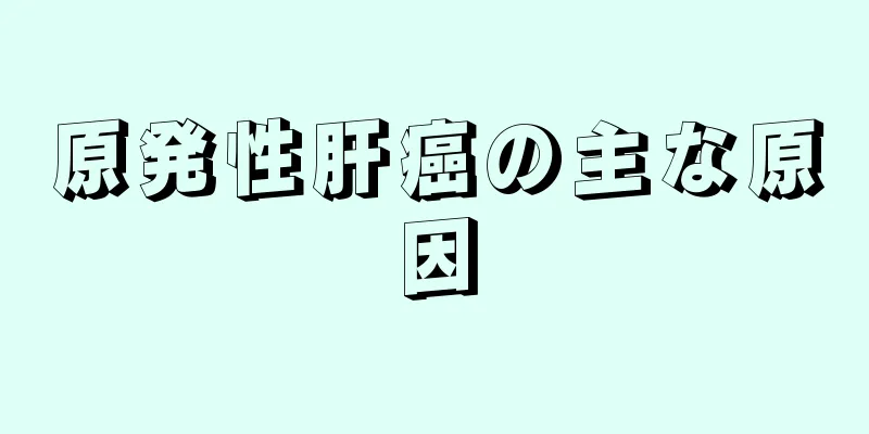 原発性肝癌の主な原因