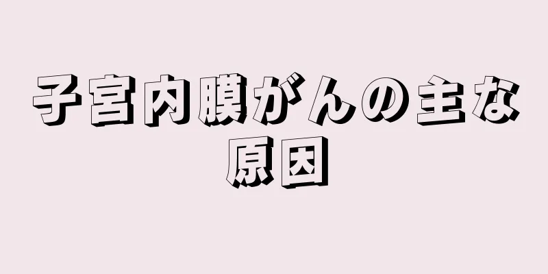 子宮内膜がんの主な原因
