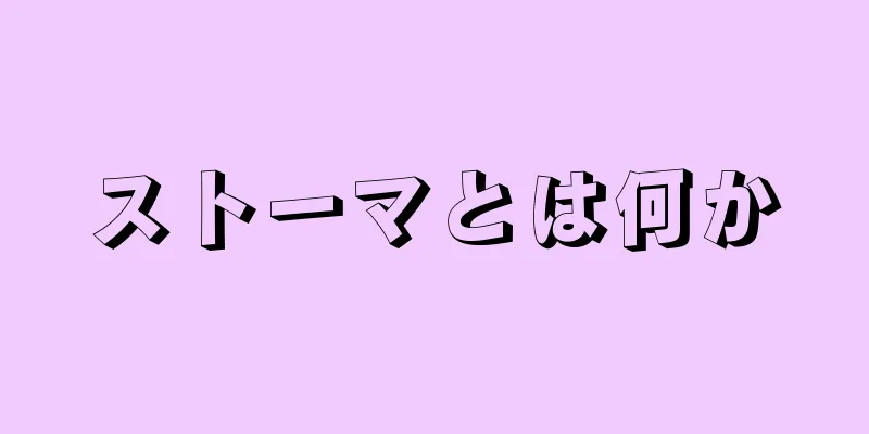ストーマとは何か