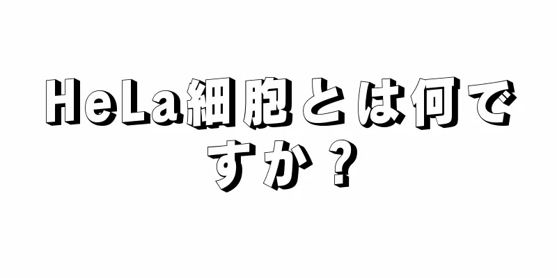 HeLa細胞とは何ですか？