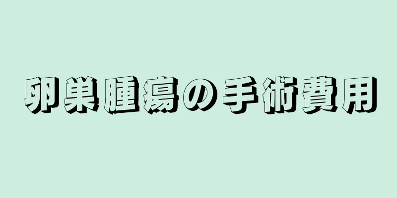 卵巣腫瘍の手術費用