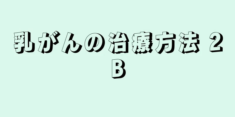 乳がんの治療方法 2B