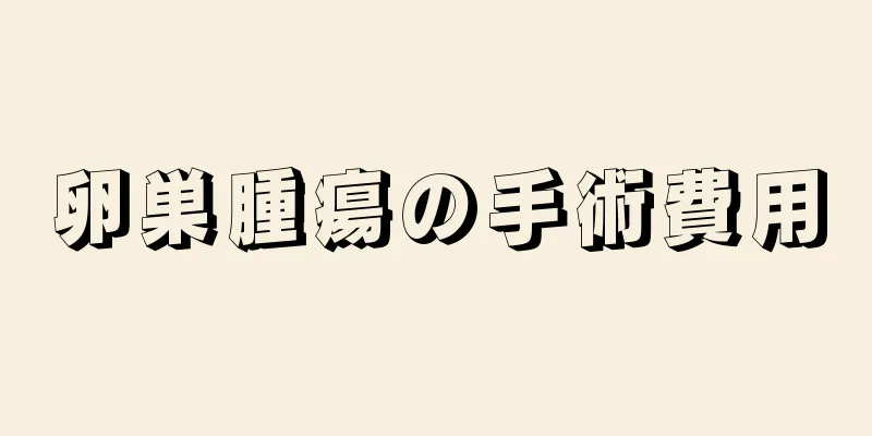 卵巣腫瘍の手術費用