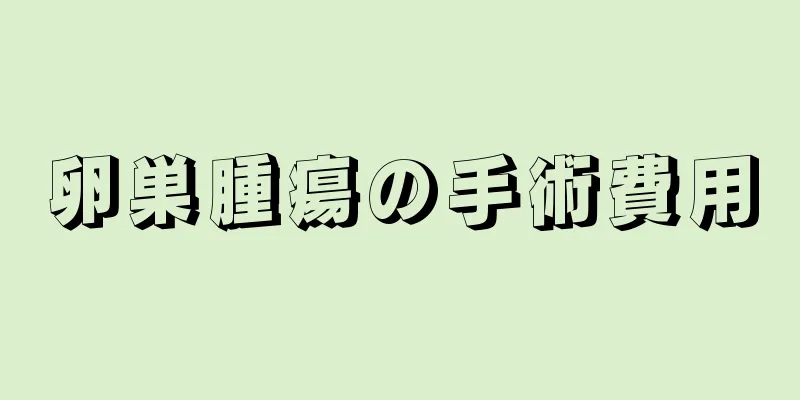 卵巣腫瘍の手術費用