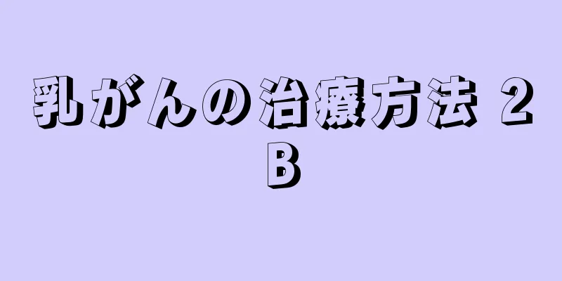 乳がんの治療方法 2B