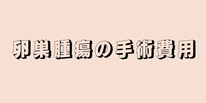 卵巣腫瘍の手術費用