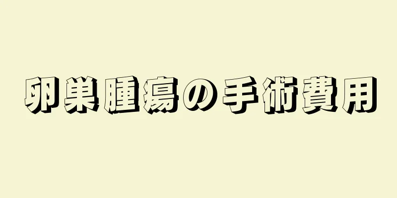 卵巣腫瘍の手術費用