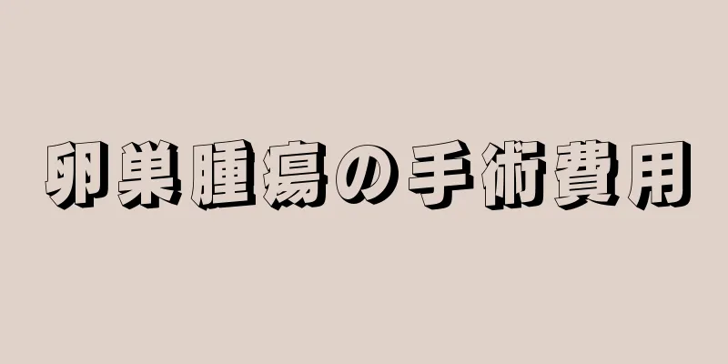 卵巣腫瘍の手術費用
