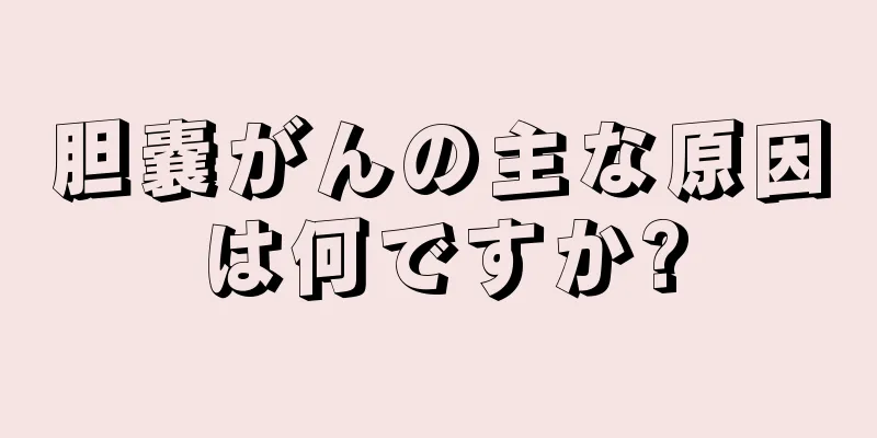 胆嚢がんの主な原因は何ですか?