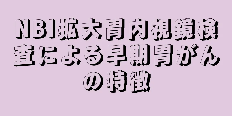 NBI拡大胃内視鏡検査による早期胃がんの特徴