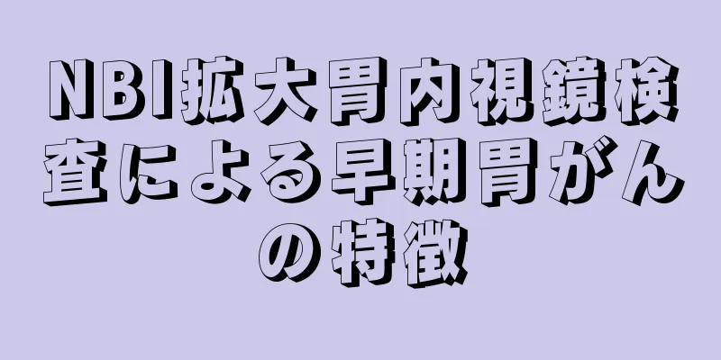 NBI拡大胃内視鏡検査による早期胃がんの特徴