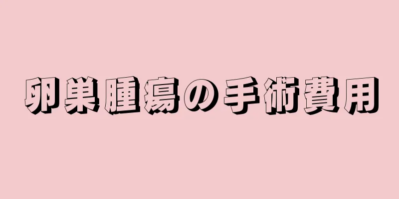 卵巣腫瘍の手術費用