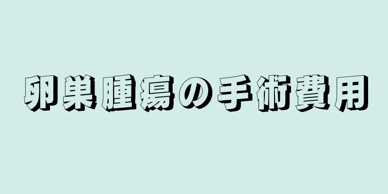 卵巣腫瘍の手術費用