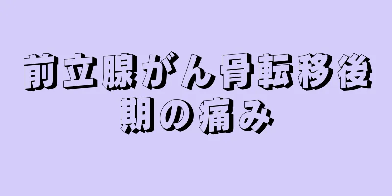 前立腺がん骨転移後期の痛み