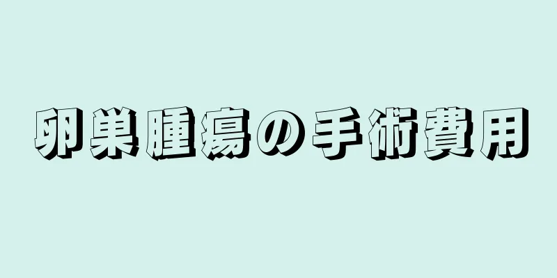 卵巣腫瘍の手術費用