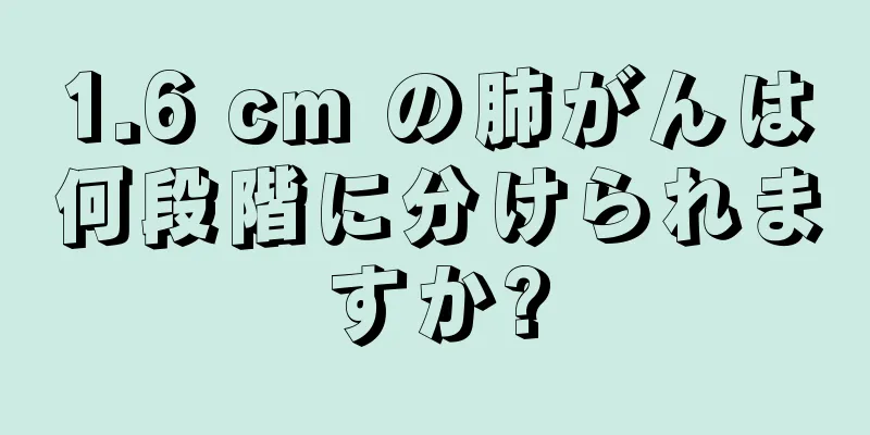 1.6 cm の肺がんは何段階に分けられますか?