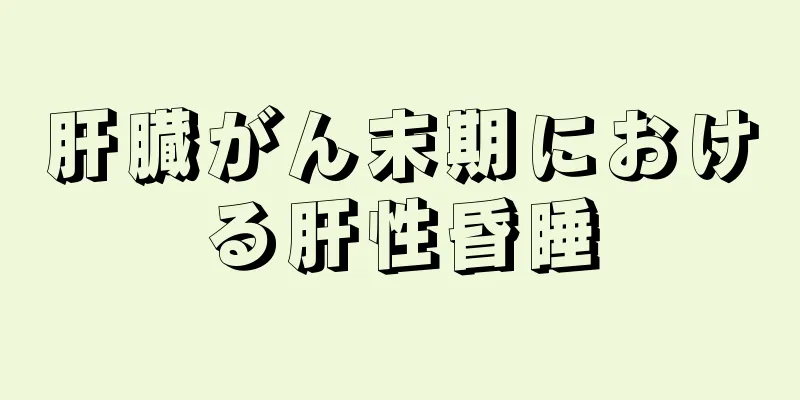 肝臓がん末期における肝性昏睡