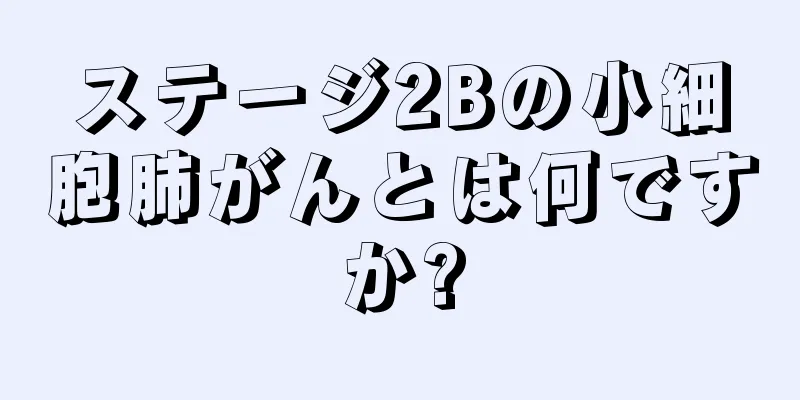 ステージ2Bの小細胞肺がんとは何ですか?