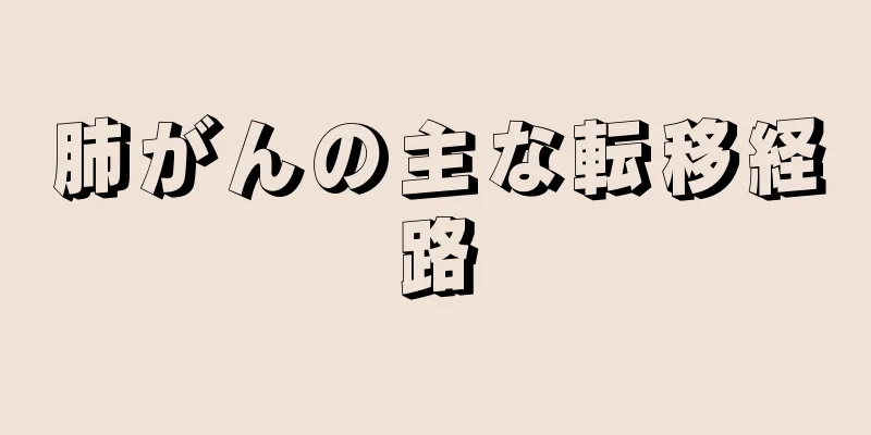 肺がんの主な転移経路