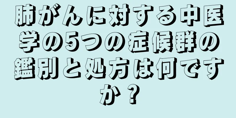 肺がんに対する中医学の5つの症候群の鑑別と処方は何ですか？