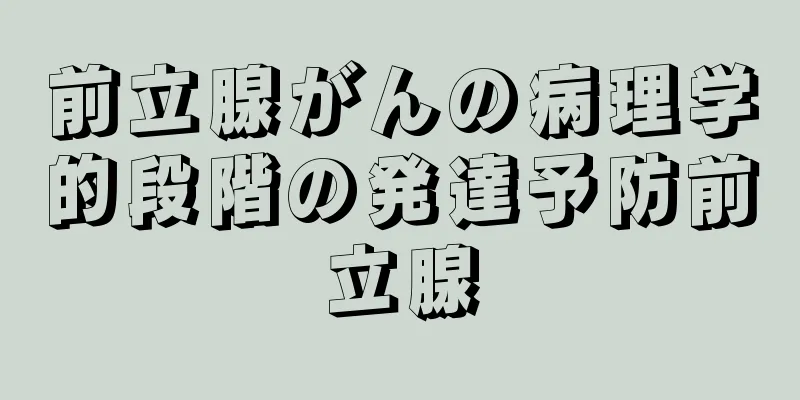 前立腺がんの病理学的段階の発達予防前立腺
