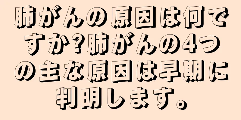 肺がんの原因は何ですか?肺がんの4つの主な原因は早期に判明します。