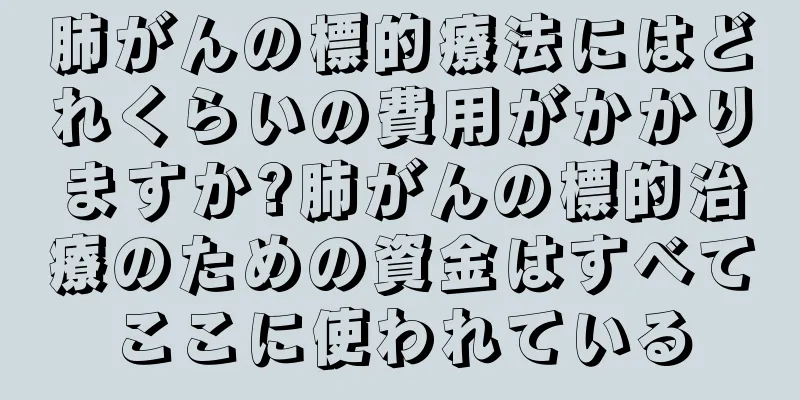 肺がんの標的療法にはどれくらいの費用がかかりますか?肺がんの標的治療のための資金はすべてここに使われている