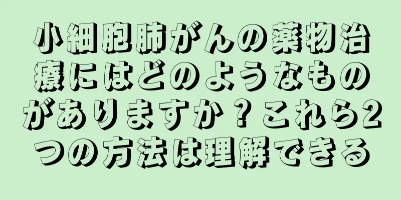 小細胞肺がんの薬物治療にはどのようなものがありますか？これら2つの方法は理解できる