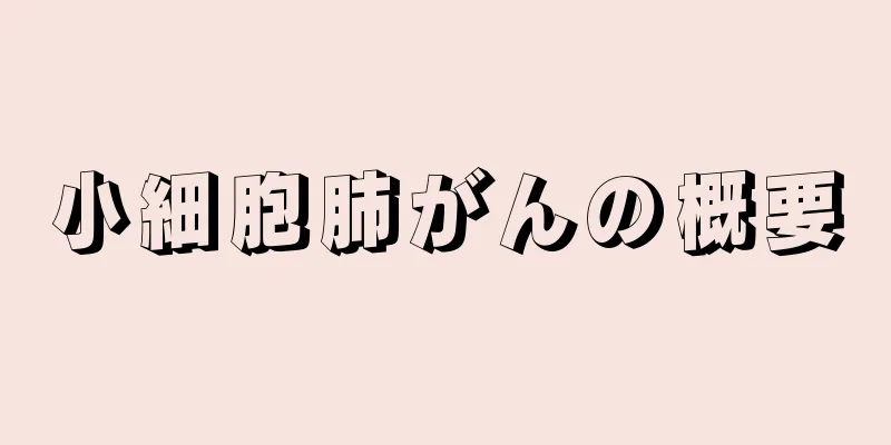 小細胞肺がんの概要