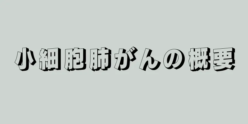 小細胞肺がんの概要
