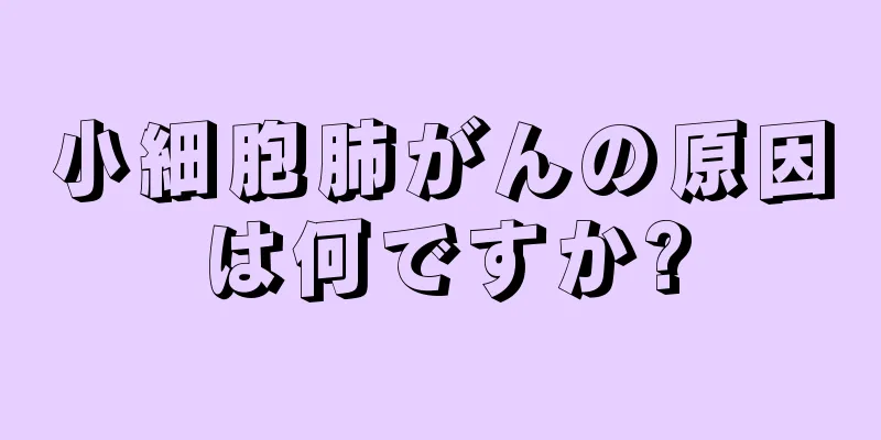 小細胞肺がんの原因は何ですか?