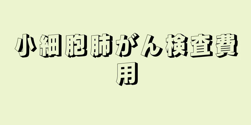 小細胞肺がん検査費用