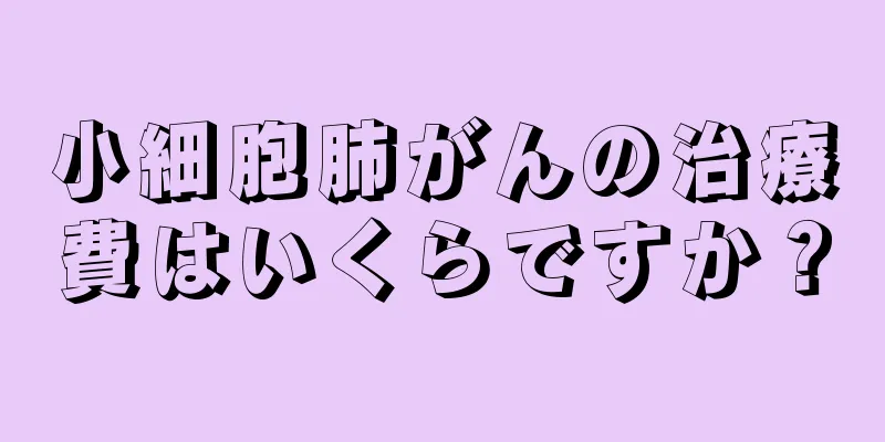 小細胞肺がんの治療費はいくらですか？
