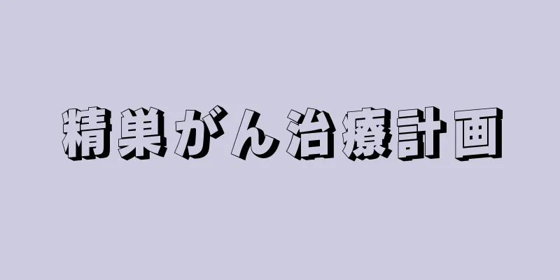 精巣がん治療計画