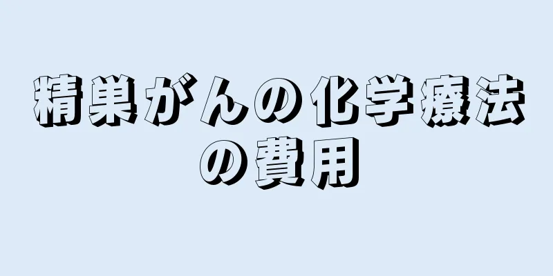 精巣がんの化学療法の費用