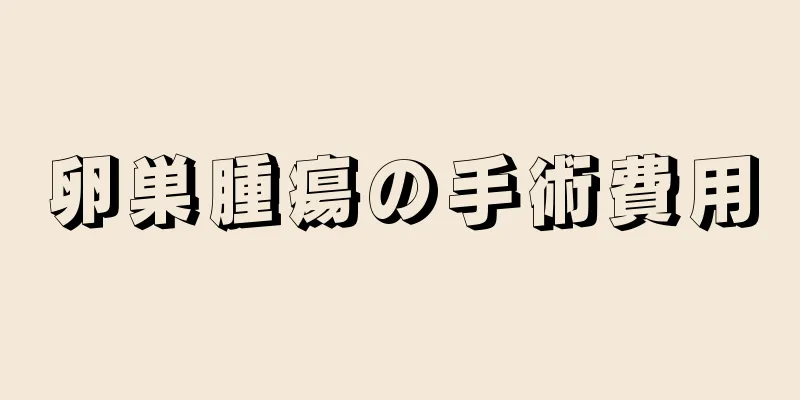 卵巣腫瘍の手術費用