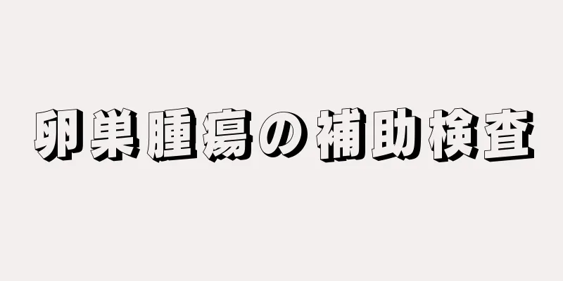 卵巣腫瘍の補助検査