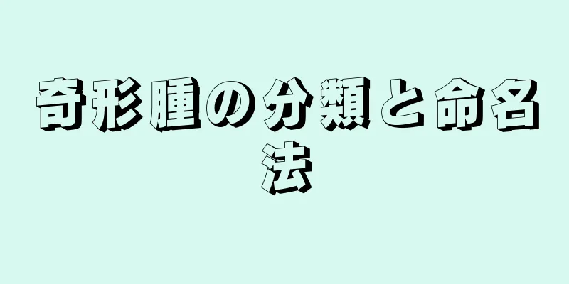 奇形腫の分類と命名法