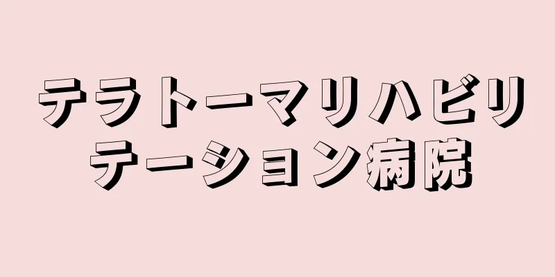 テラトーマリハビリテーション病院
