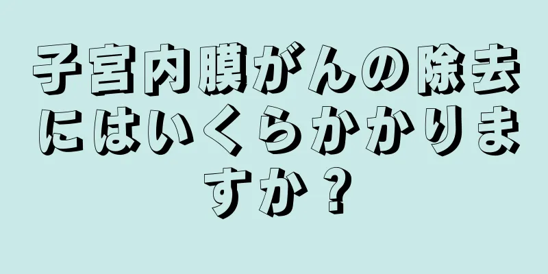 子宮内膜がんの除去にはいくらかかりますか？
