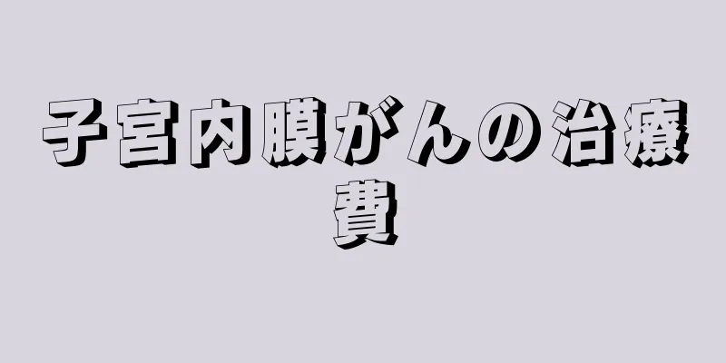 子宮内膜がんの治療費