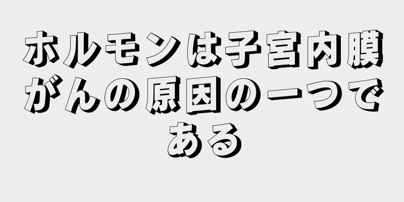 ホルモンは子宮内膜がんの原因の一つである